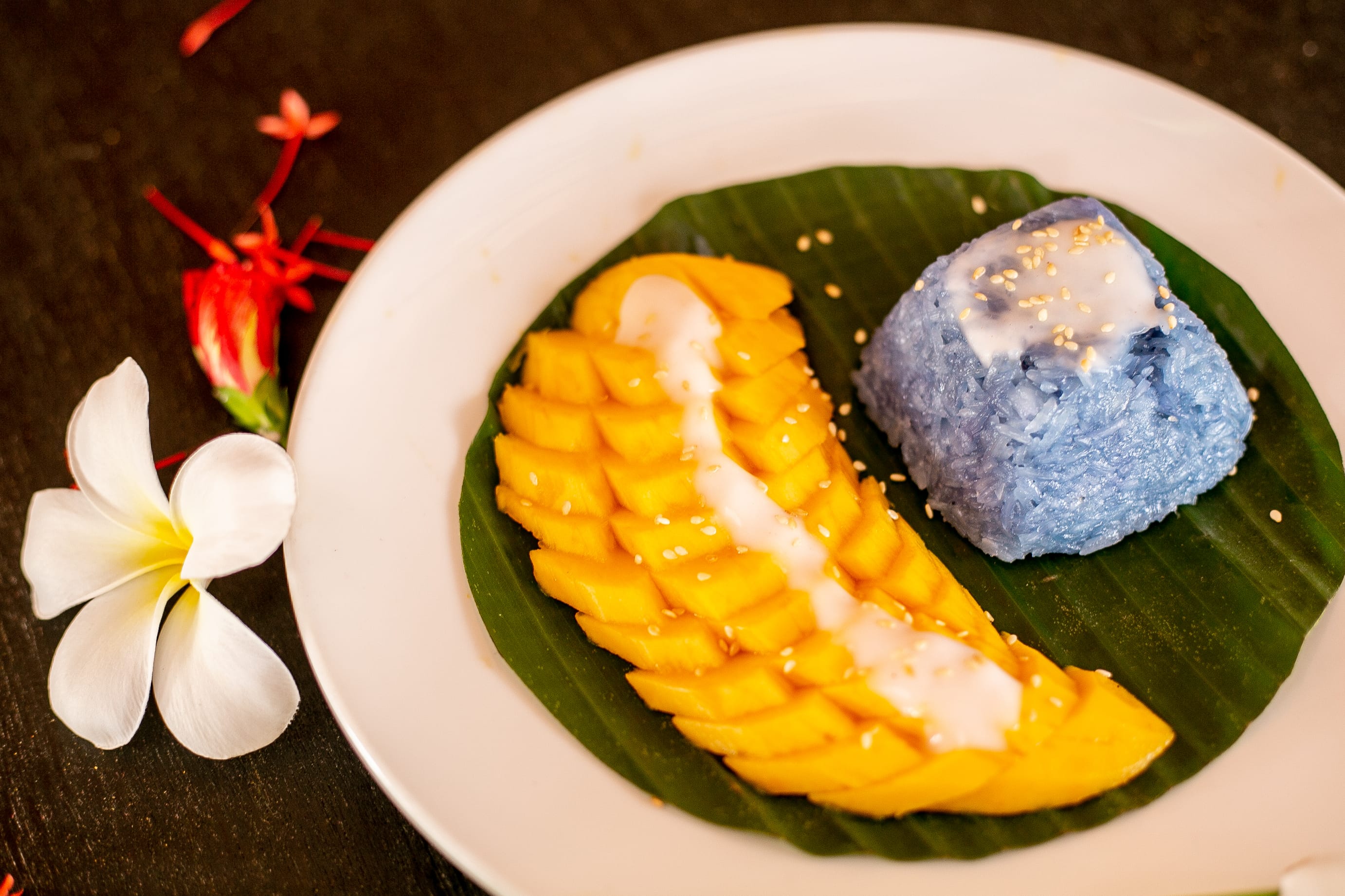 mango sticky rice Alchemy Cafe