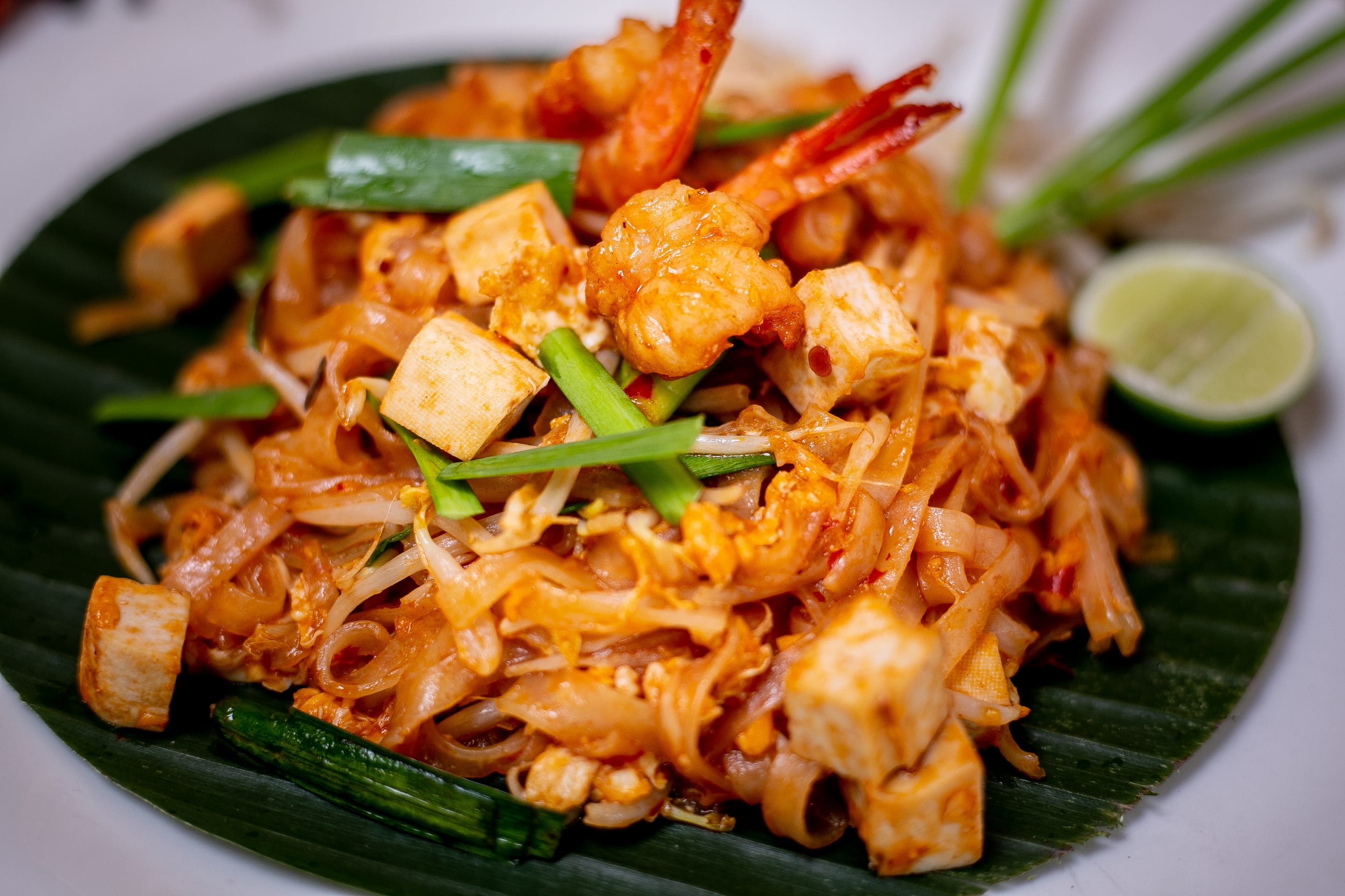 Pad Thai Alchemy Cafe