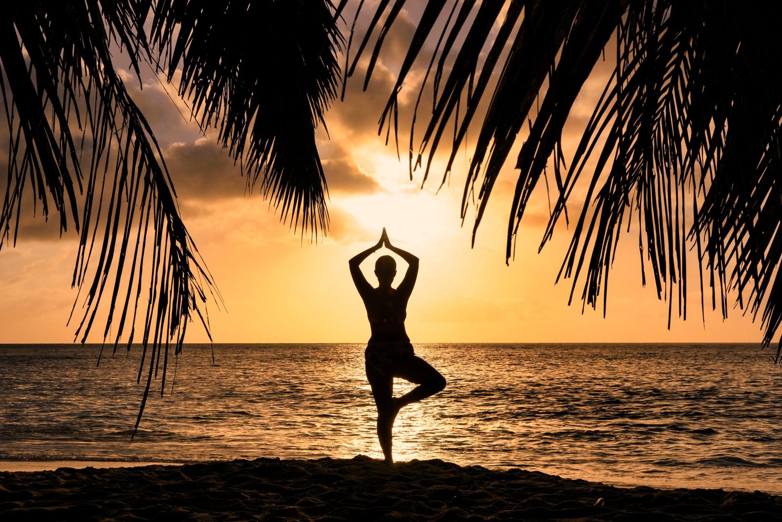 Burnout & Stress Management Detox